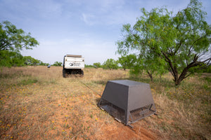 Quail Safe Feeder