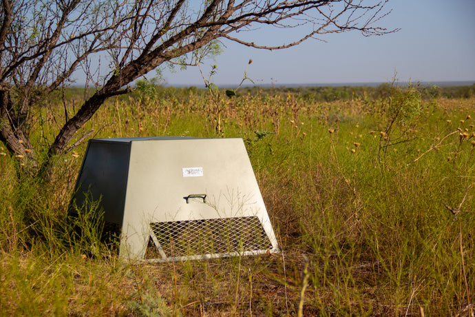 Quail Safe Feeder